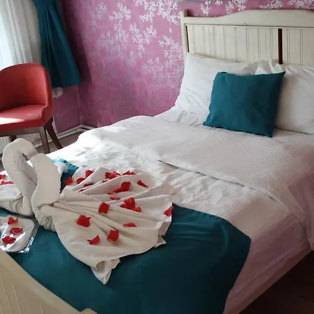 Konukevi Alesta Butik Ağva