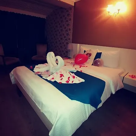 Alesta Butik Konukevi